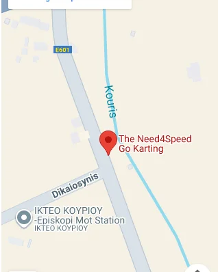 Need 4 Speed Karting